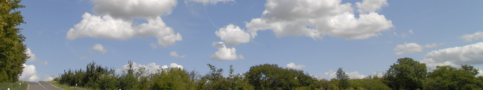 Baumwipfel mit Himmel und Wolken @DLR